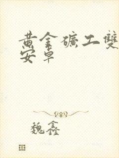 黄金矿工双人版安卓