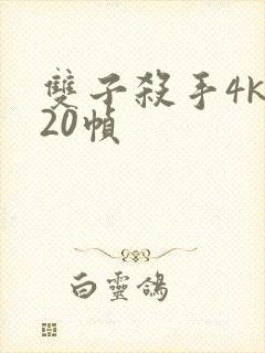 双子杀手4k120帧