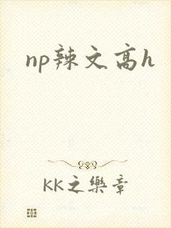 np辣文高h