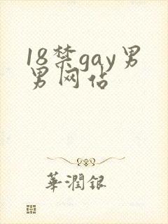 18禁gay男男网站