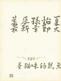 叶辰孙怡夏若雪最新章节天天