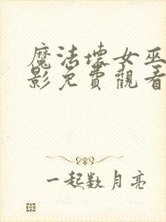 魔法坏女巫2电影免费观看完整版封面