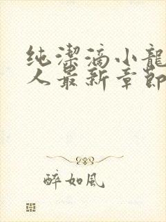 纯洁滴小龙捞尸人最新章节更新