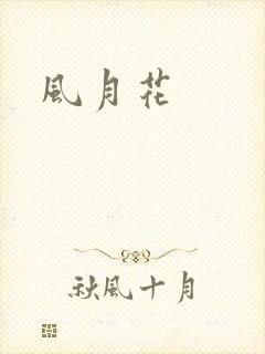 风月花封面