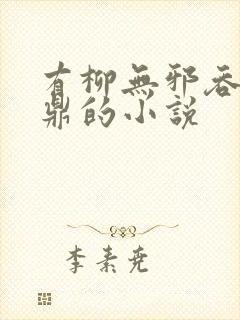 有柳无邪吞天神鼎的小说