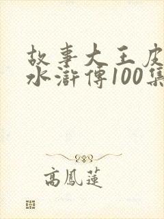 故事大王皮皮讲水浒传100集