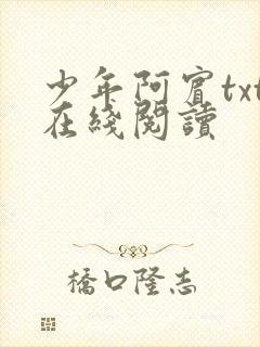 少年阿宾txt在线阅读