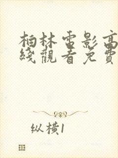 柏林电影高清在线观看免费