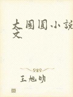 大团圆小说集全文封面