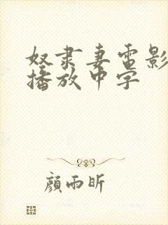 奴隶妻电影在线播放中字