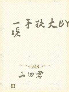 一手扶大BY泱暖封面