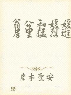 翁公和媛媛在厨房里猛烈进出