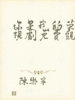 你是我的荣耀电视剧免费观看高清