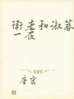 卫老和淑蓉销魂一夜封面