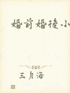 婚前婚后小说
