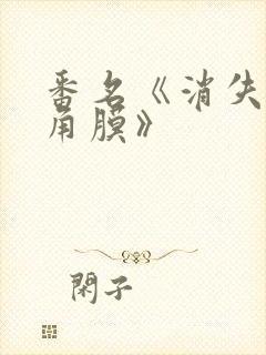 番名《消失的眼角膜》