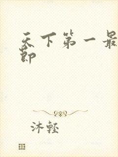 天下第一最新章节封面