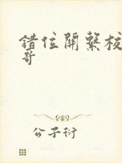 错位关系校园东哥封面