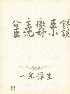 公主微臣馋了微臣沈妤小说