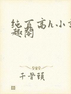 纯百高h小说笔趣阁