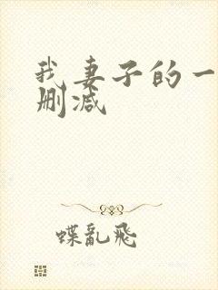 我妻子的一切无删减