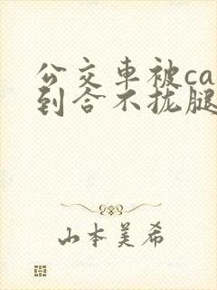 公交车被cao到合不拢腿视频