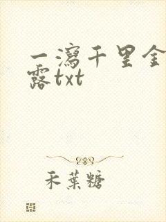 一泻千里金银花露txt