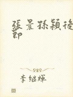 张晨孙颖后续章节