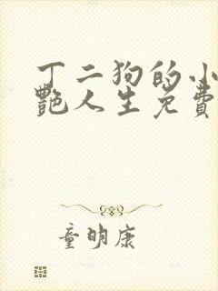 丁二狗的小说猎艳人生免费阅读全文
