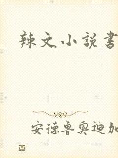 辣文小说书包网封面