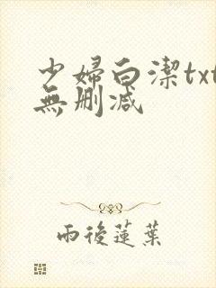 少妇白洁txt无删减