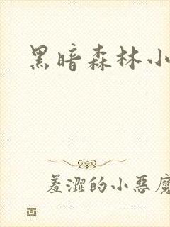 黑暗森林小说