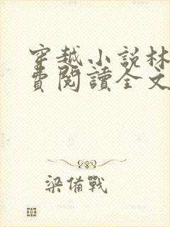 穿越小说林丰免费阅读全文封面