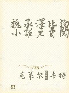 魏承泽比狗还狗小说免费阅读