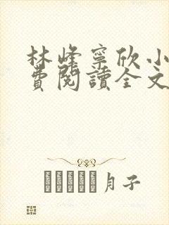 林峰宁欣小说免费阅读全文最新章节