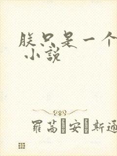 朕只是一个演员 小说