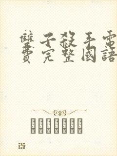 双子杀手电影免费完整国语版