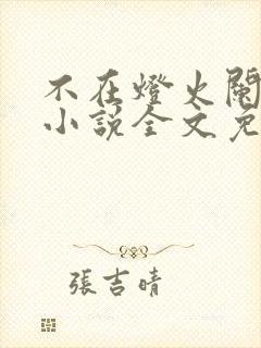 不在灯火阑珊处小说全文免费阅读