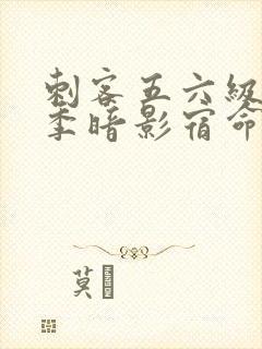 刺客五六级第四季暗影宿命免费观看封面