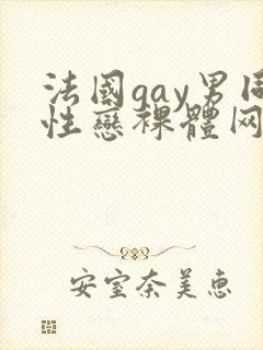 法国gay男同性恋裸体网址封面