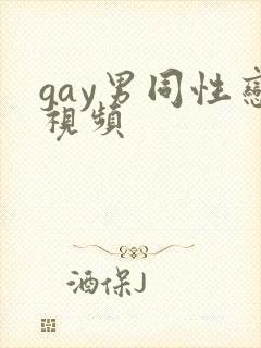 gay男同性恋视频