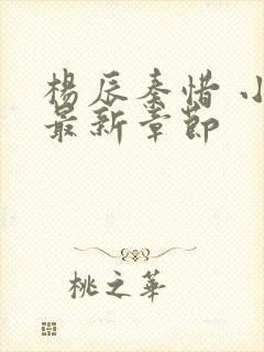 杨辰秦惜 小说最新章节