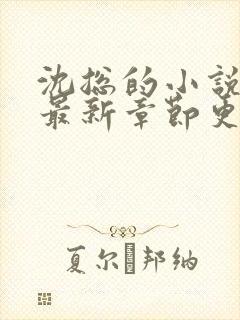 沈总的小说全文最新章节更新