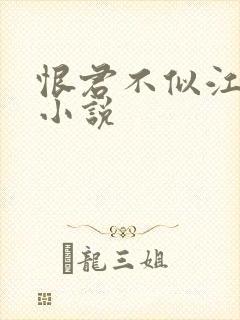 恨君不似江楼月小说封面