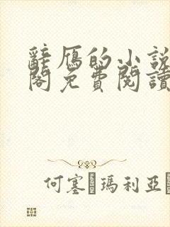 辞雁的小说笔趣阁免费阅读