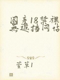 国产18禁裸体无遮挡网站