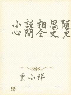 小说相思随你入心间全文免费阅读