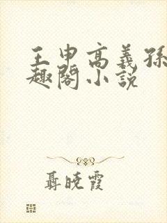 王申高义孙倩笔趣阁小说