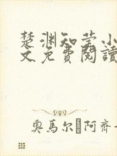 楚渊知莹小说全文免费阅读