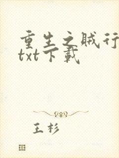 重生之贼行天下txt下载